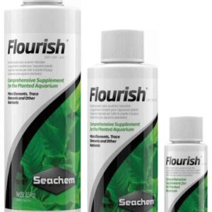 Flourish - 100ml