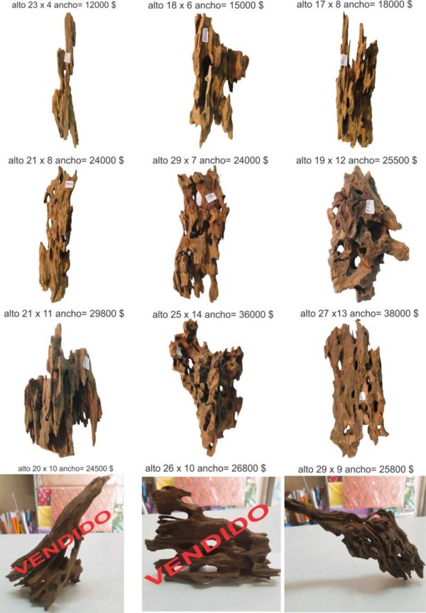 Dragon wood - madera
