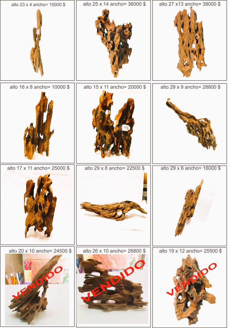 Dragon wood - madera