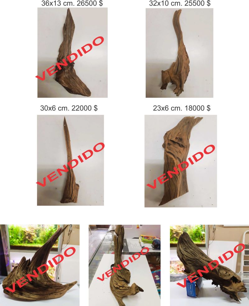 Madera de Malasia, curadas, listas para su uso