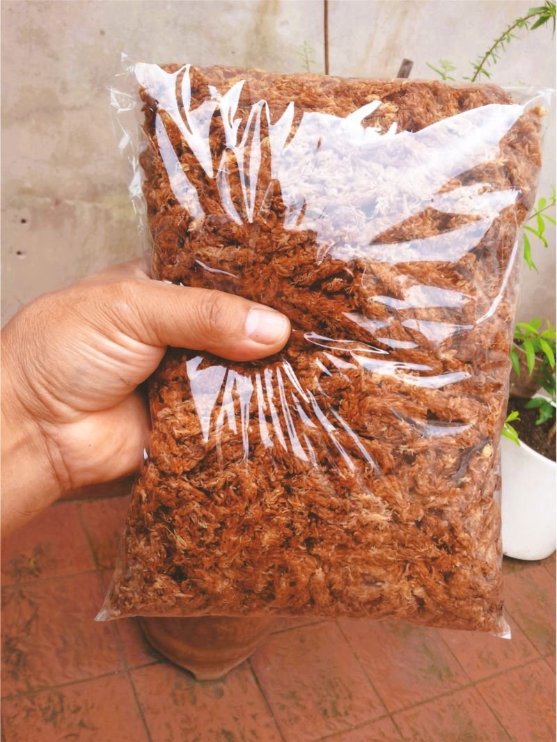 Musgo Sphagnum en hebras Hidratado